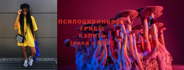 индика Абдулино