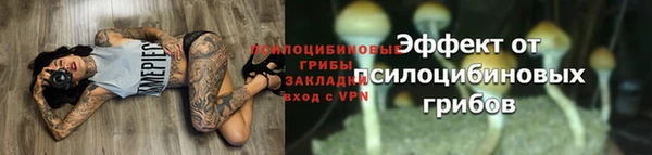 индика Семикаракорск