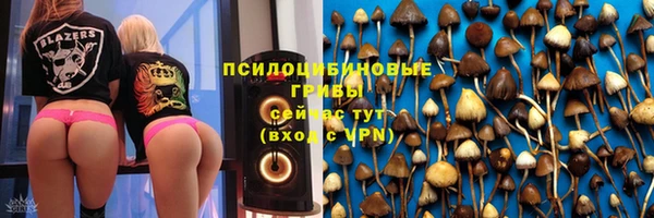 героин Алексин
