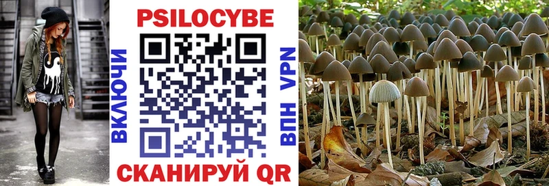 Галлюциногенные грибы Magic Shrooms  Магадан 